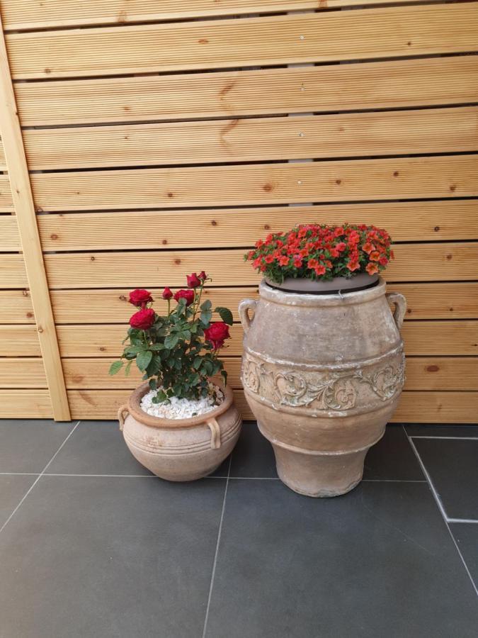 Harmony Residence カボス エクステリア 写真