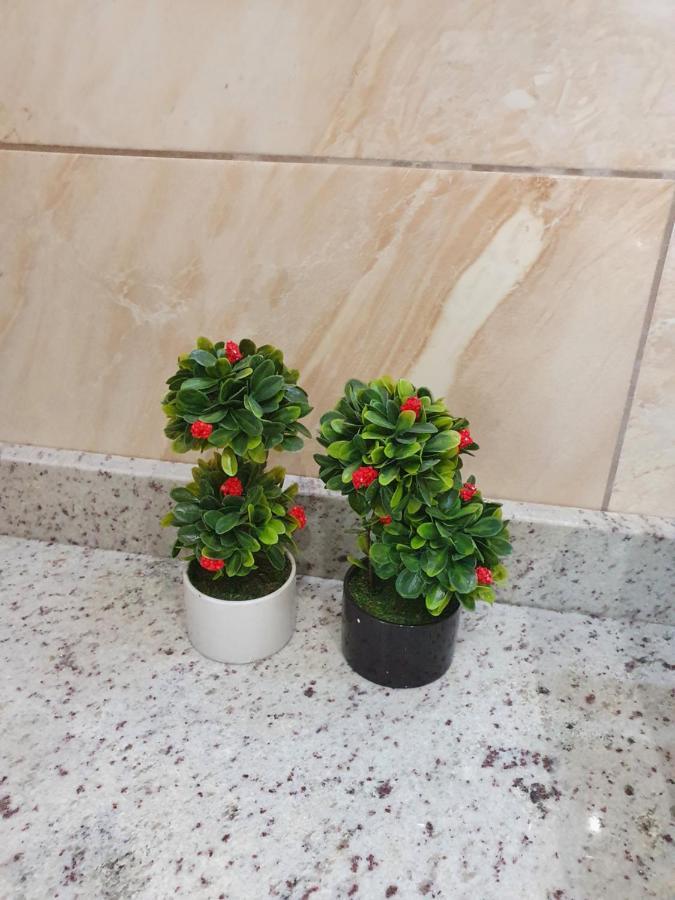 Harmony Residence カボス エクステリア 写真
